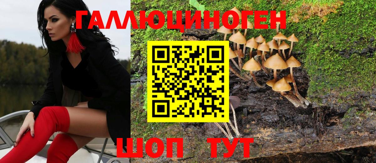 Таганрог  купить  цена  Вход с VPN  Галлюциногенные грибы Magic Shrooms 