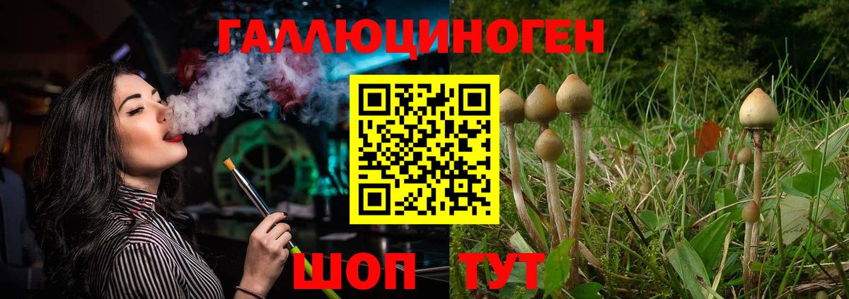 Псилоцибиновые грибы Psilocybine cubensis Таганрог